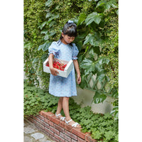 Kidiwi Blue Seersucker Gingham/Bouquet Dress