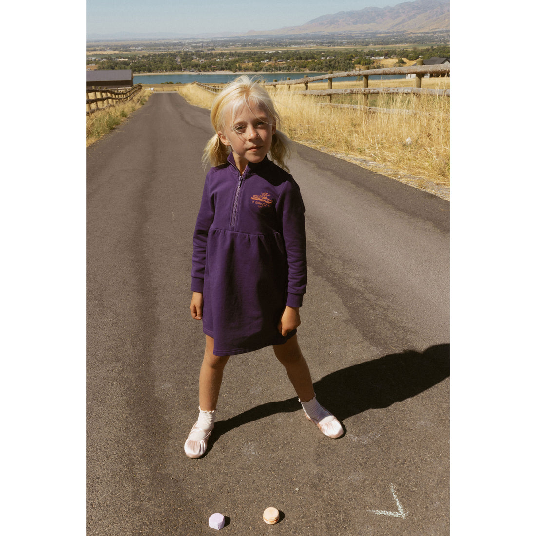 L by Ladida Wine Running Cheetah Half Zip Dress
