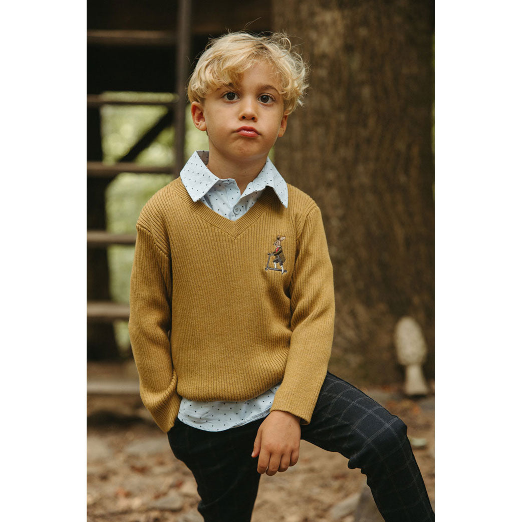 Arza Mustard V Neck Sweater