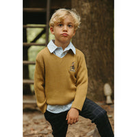 Arza Mustard V Neck Sweater