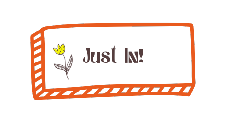 Misha and Puff Licorice Lattice Long Sleeve Leon Top – Ladida