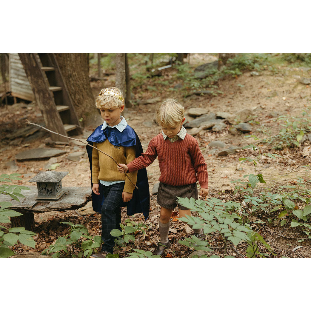 Arza Rust Cable V Neck Sweater
