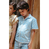 Lali  Vintage Blue Plaid Henri Shirt