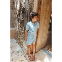 Lali  Vintage Blue Plaid Henri Shirt