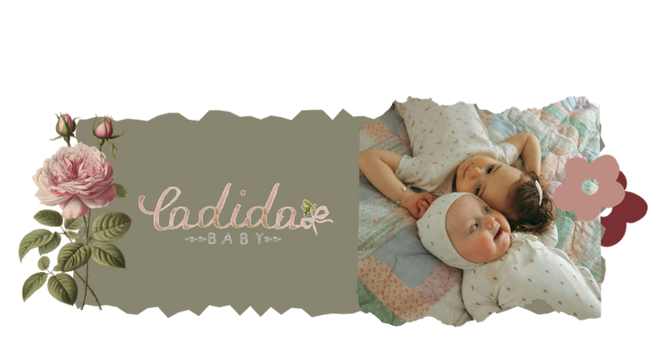 Apolina – Ladida Apolina – Ladida