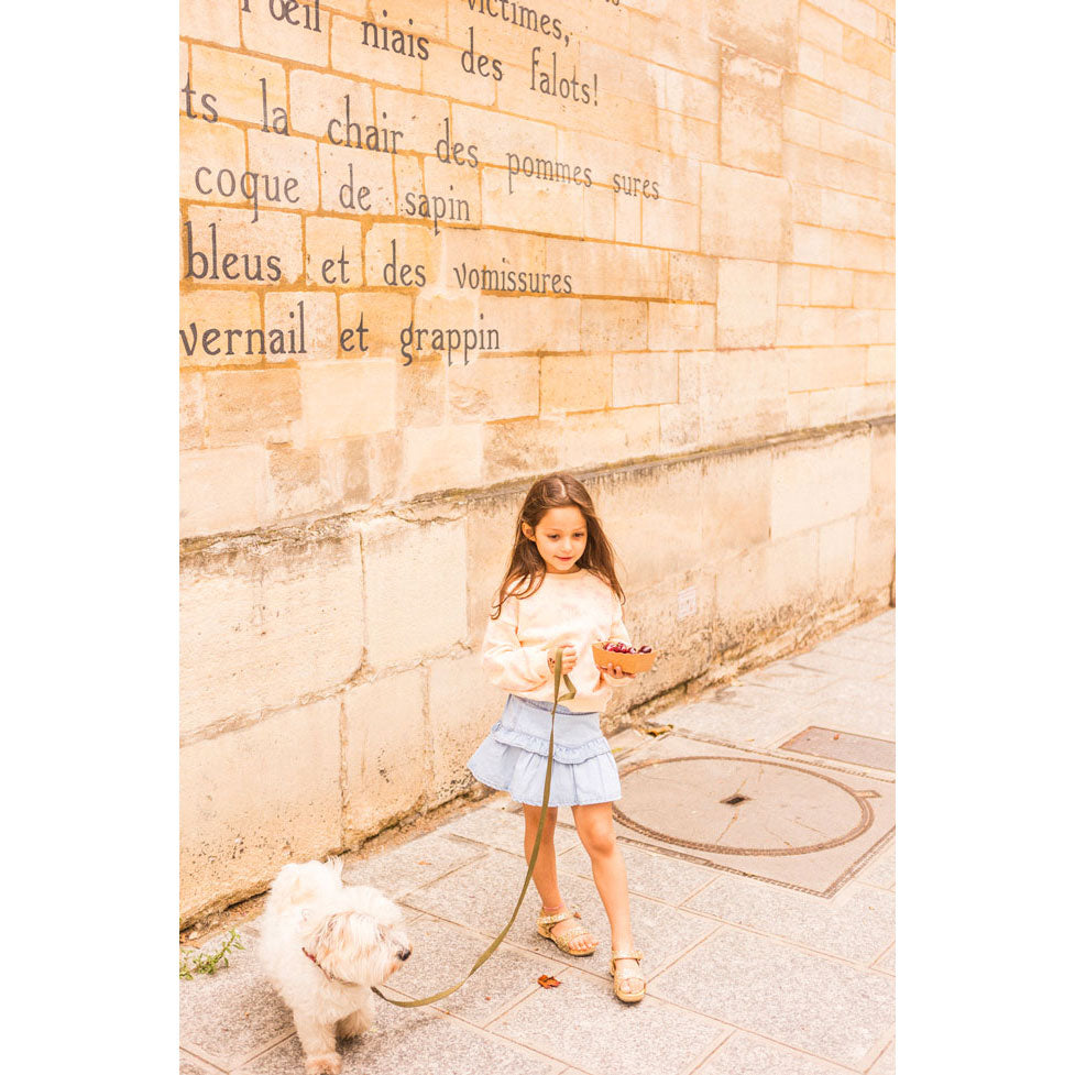 Louis Louise Denim Kiki Skirt