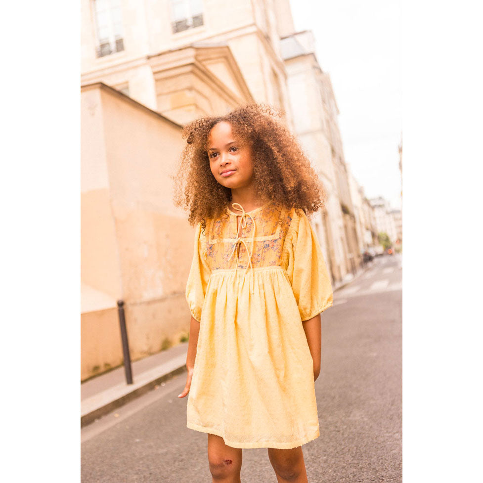 Louis Louise Yellow Paula Dress