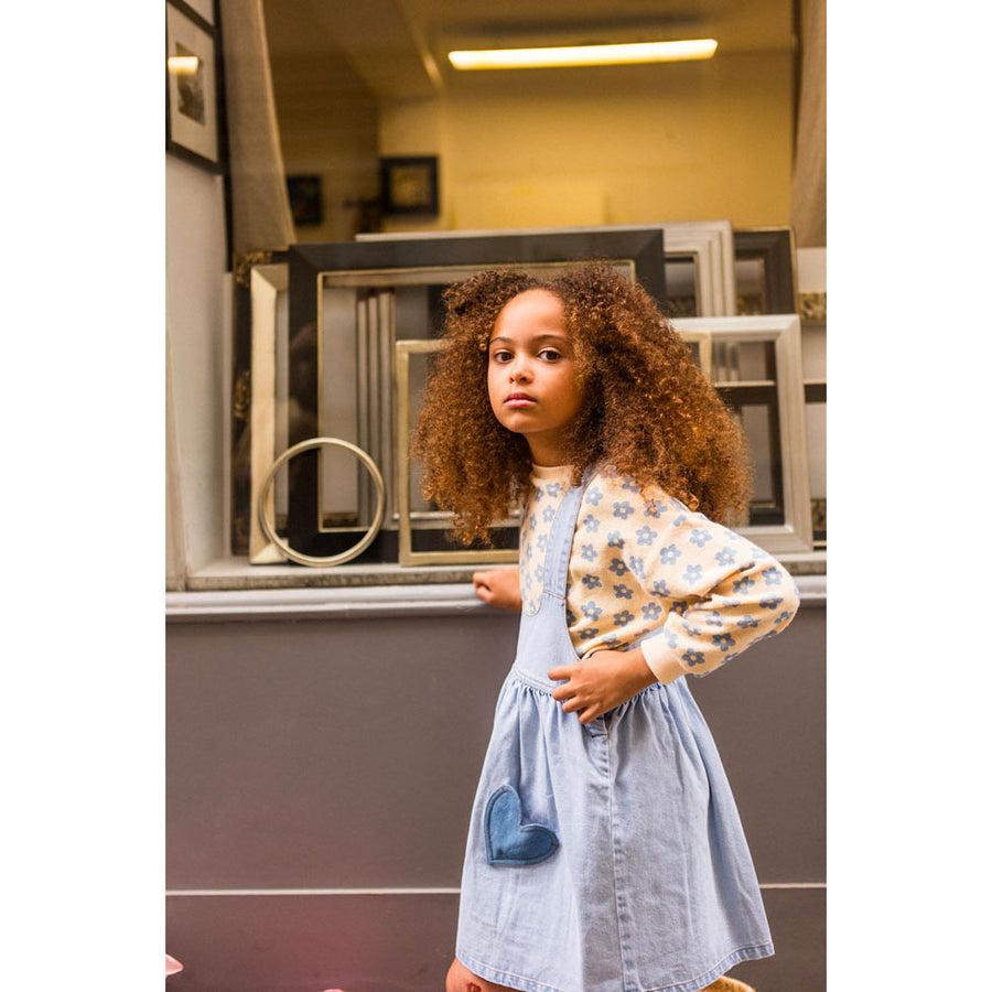 Louis Louise Denim Popcorn Dress – Ladida