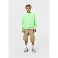 Molo Pale Gecko Magni Sweatshirt