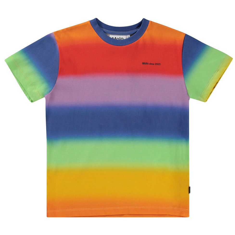 Molo Rainbow Spray Roxo T-shirt