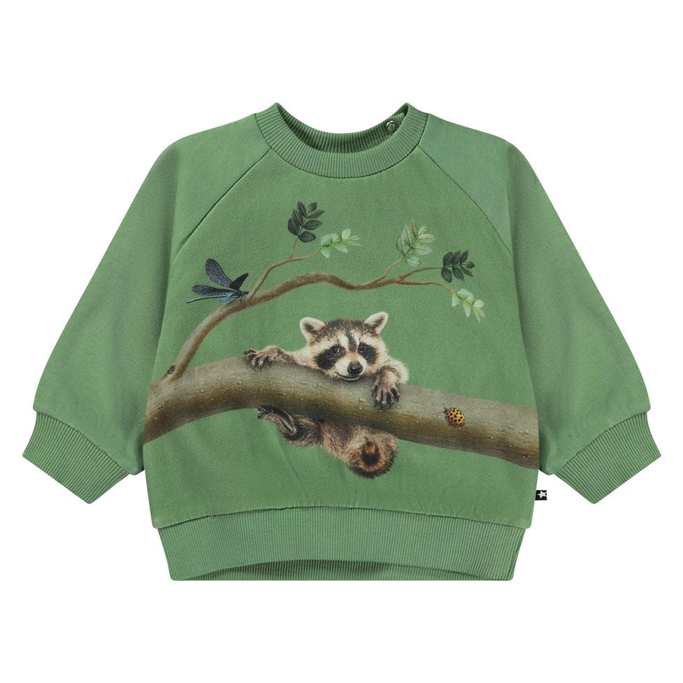 Molo Branch Living Disc Sweatshirt