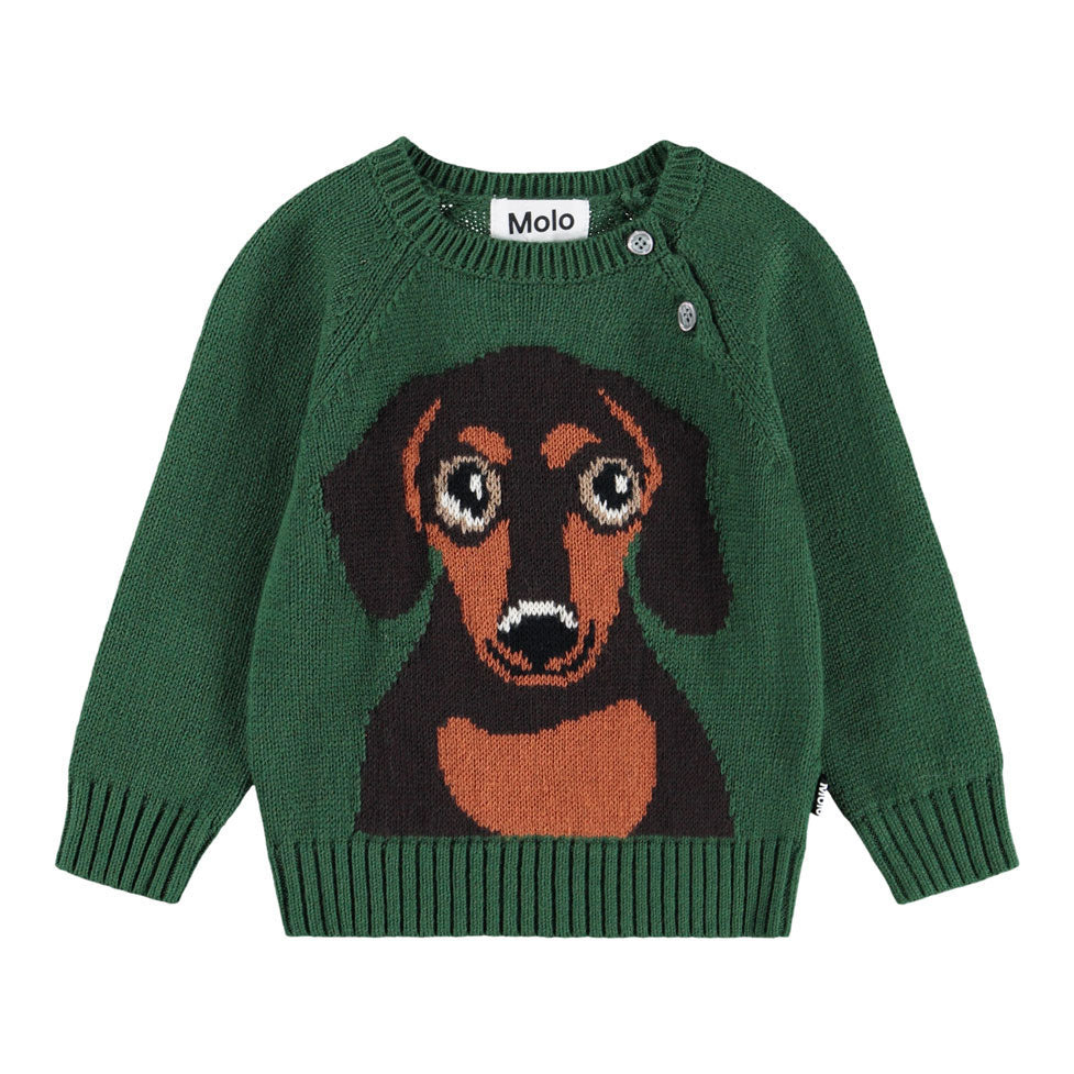 Molo Green Dachs Puppy Bless Sweater