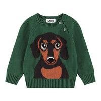 Molo Green Dachs Puppy Bless Sweater
