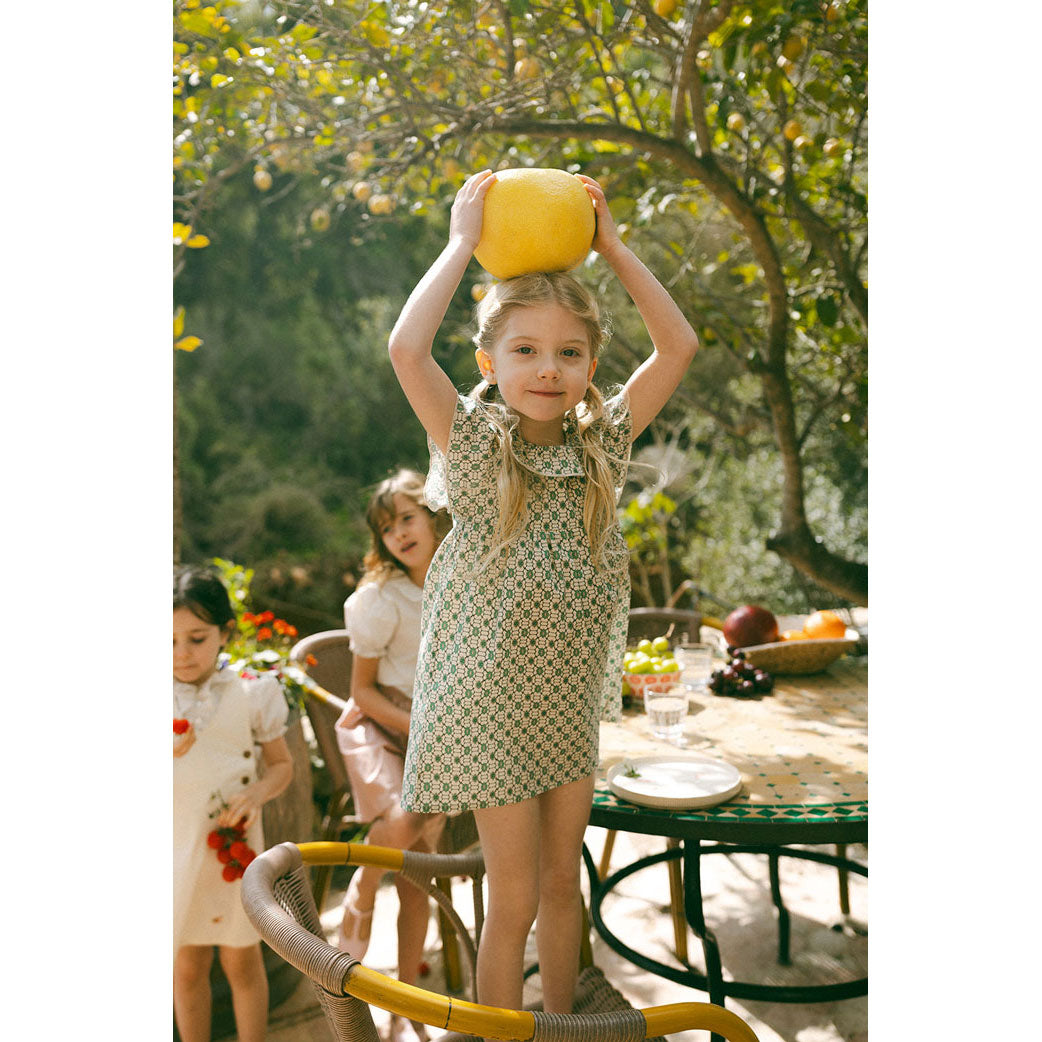 L by Ladida Green Geo Short Sleeve Flutter Dress