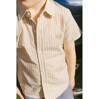 Arza Blue Striped Shirt