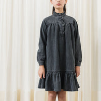 Petite Pink Light Chambray  Ruffle Neck Dress