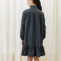 Petite Pink Light Chambray  Ruffle Neck Dress