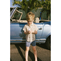 Arza Blue Striped Shirt