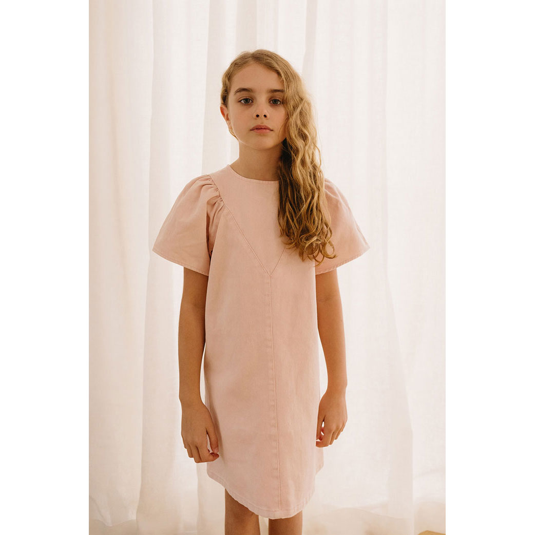 Petite Pink Blush Smock Denim Dress
