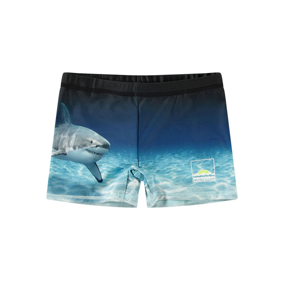 Molo Faded Shark Norton Placed Trunks