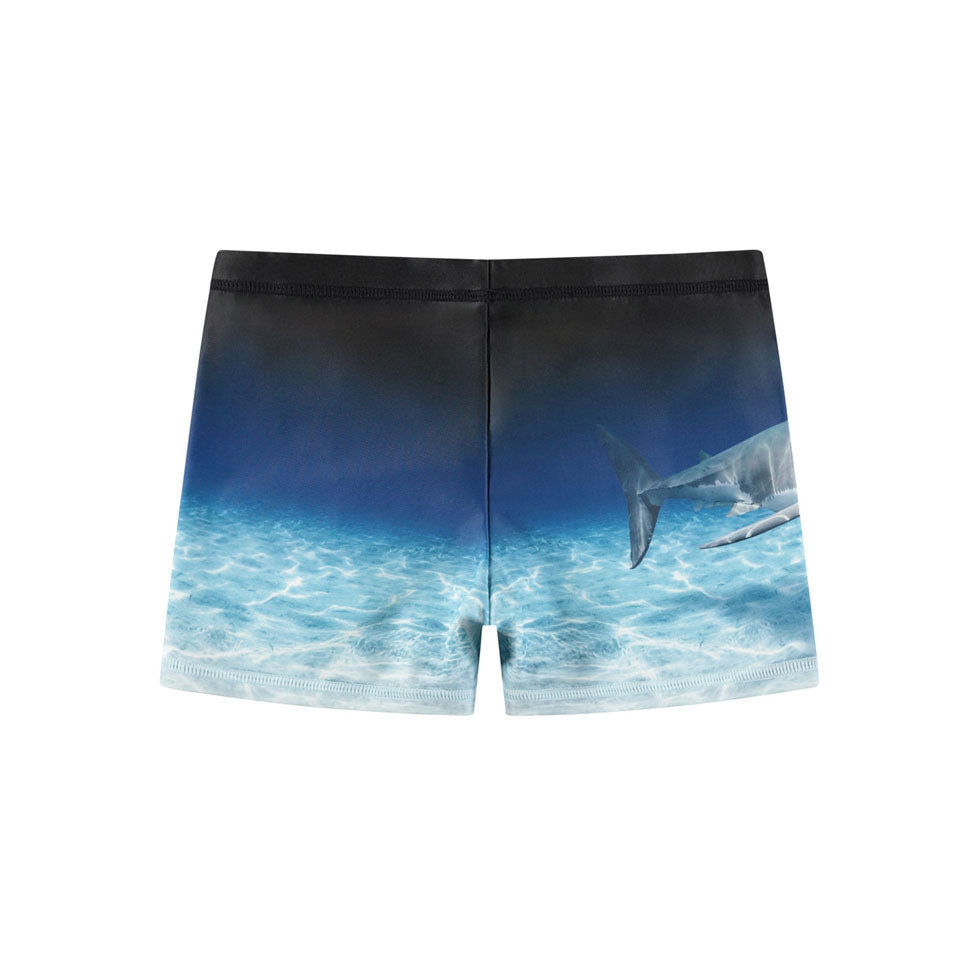 Molo Faded Shark Norton Placed Trunks