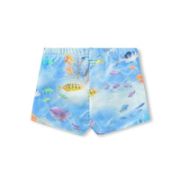Molo Rainbow Sea Nansen Trunks