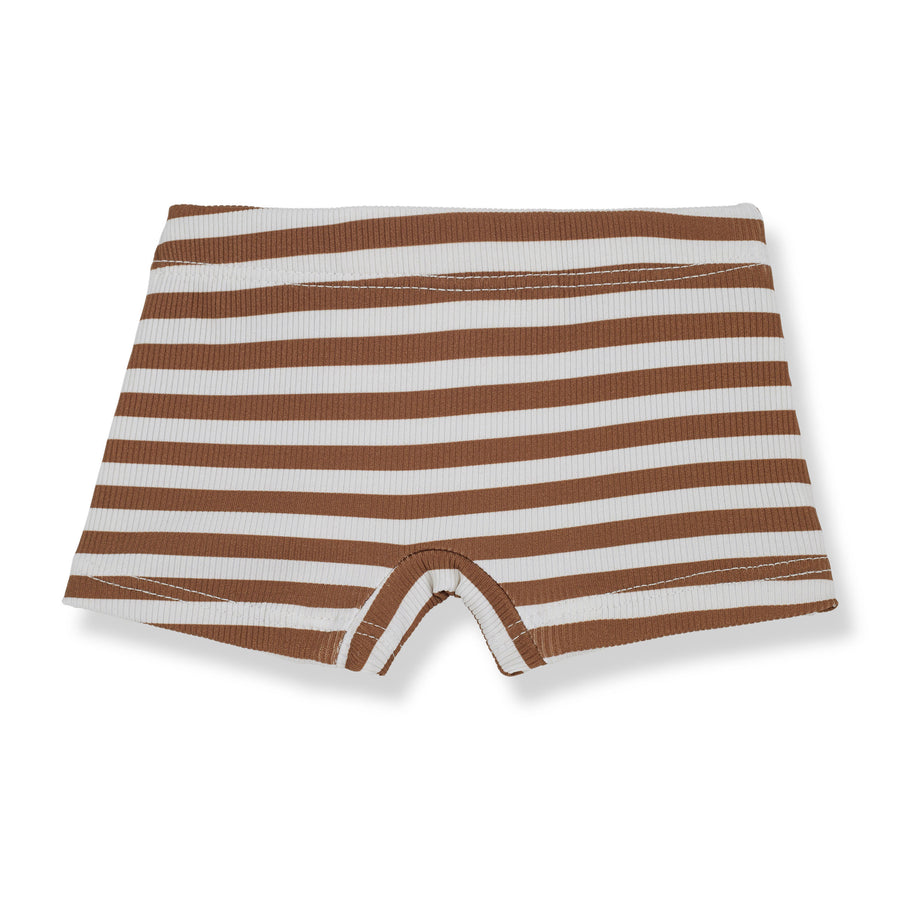 1+ In The Family Sienna Alessandro Swim Boxer
