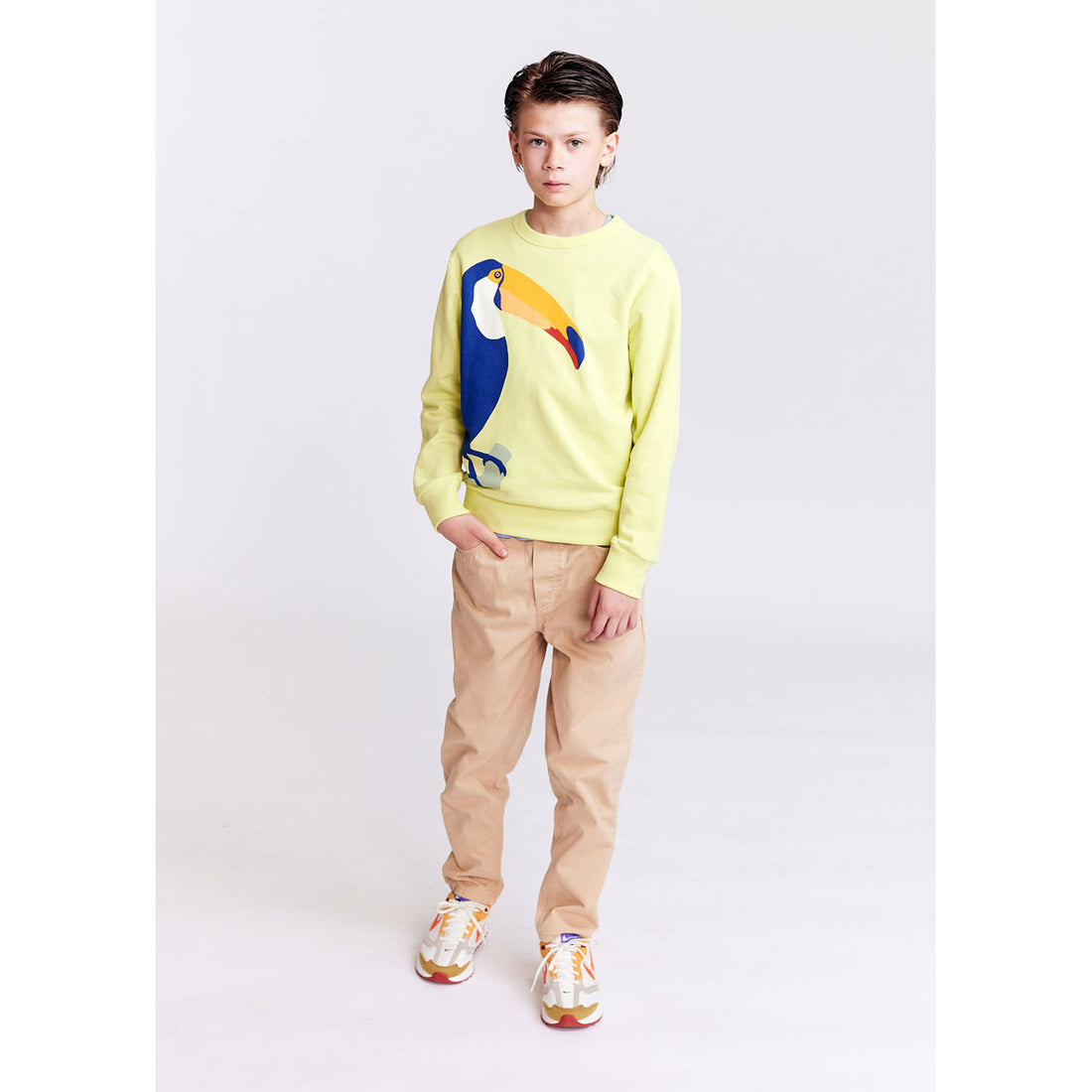 AO76 Yellow Toucan Tom Pullover