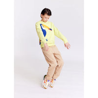 AO76 Yellow Toucan Tom Pullover