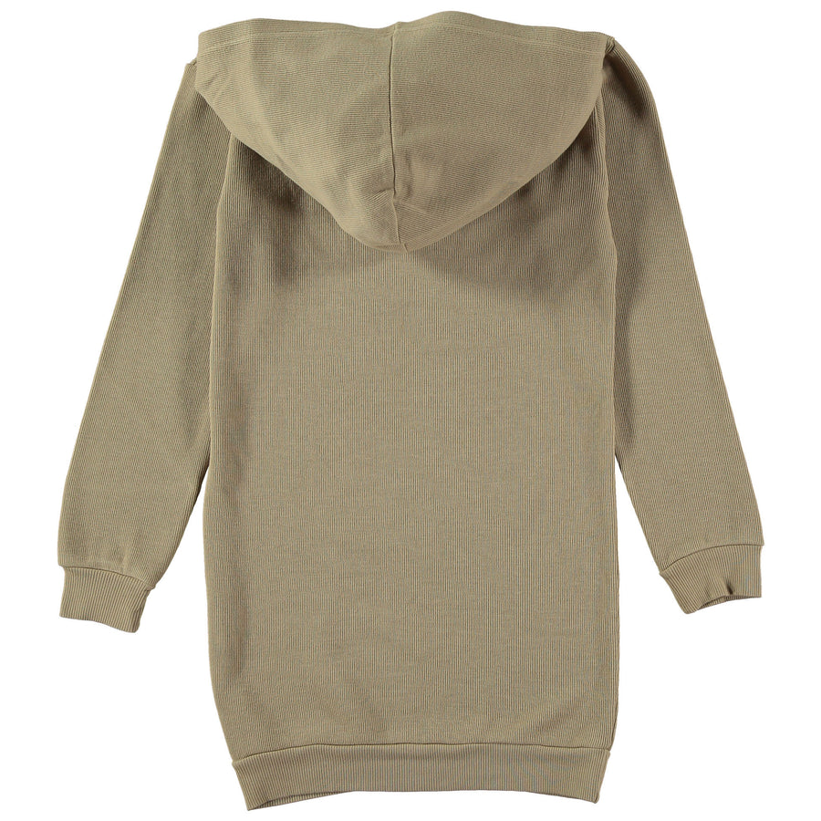 Picnik Sand Hoodie Dress
