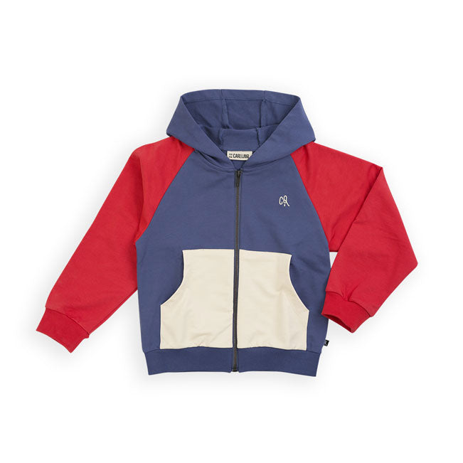 Carlijnq Basic Hooded Sweatshirt