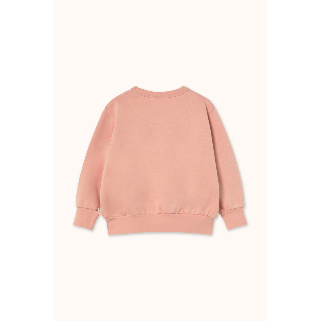 Tiny Cottons Wild Rose Walk Graphic Sweatshirt