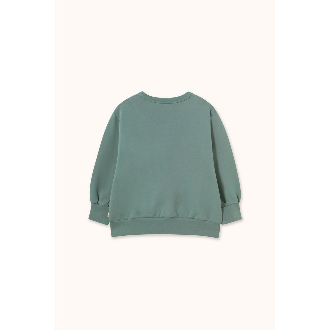 Tiny Cottons Teal Two Dogs Graphic Sweatshirt