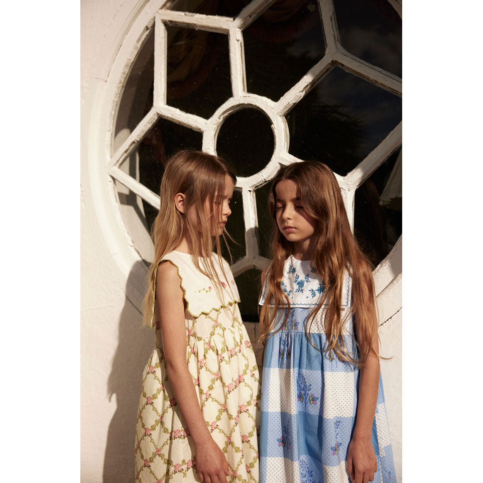 Bebe Organic Nostalgia Rose Charlotte Dress