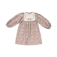 Bebe Organic Sweet Roses Clementine Dress
