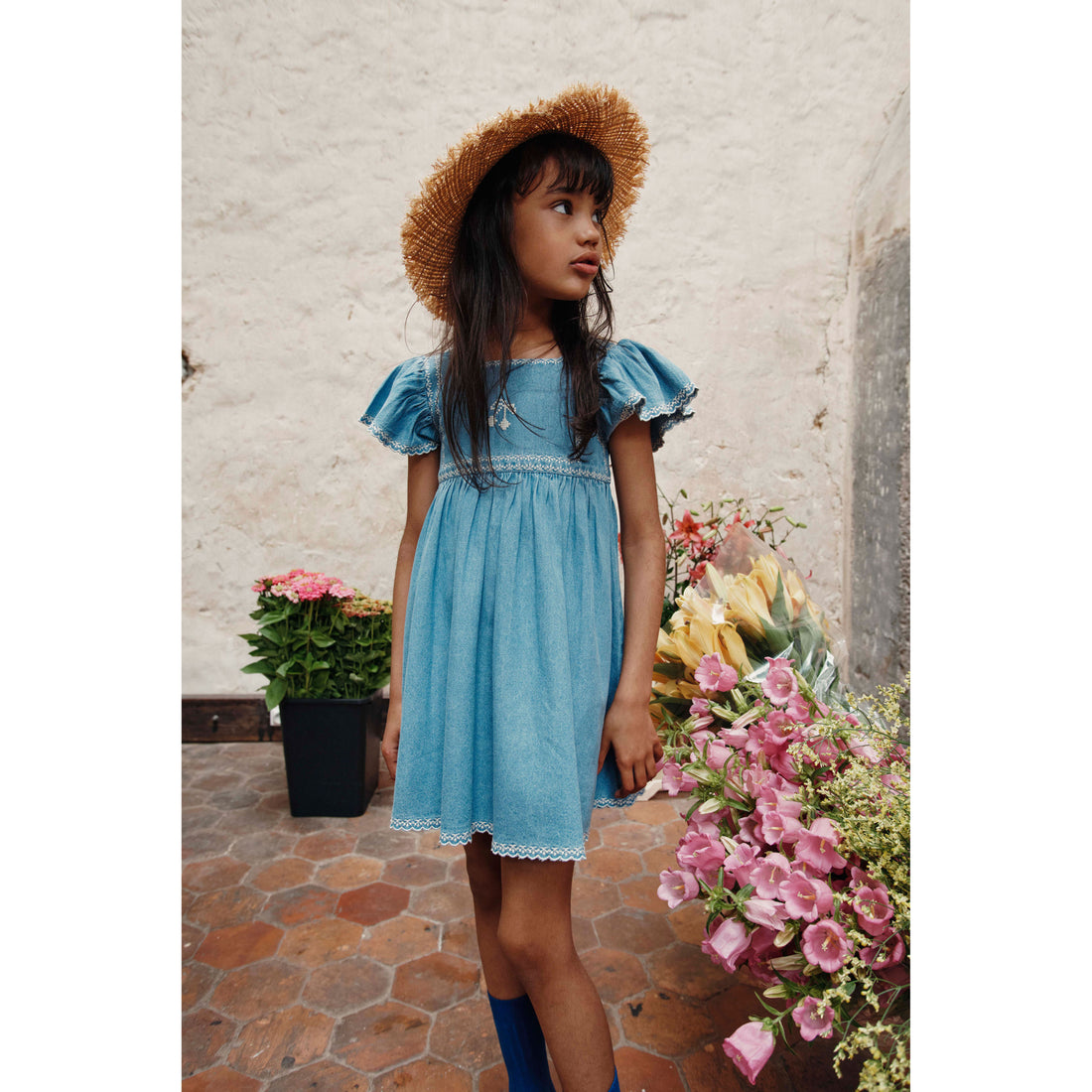 Emile et Ida Denim Embroidered Dress