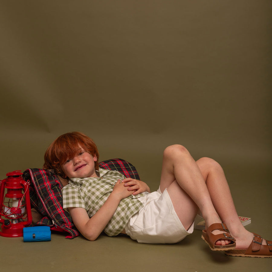 Birinit Gingham Pistachio Stripe Lapel Shirt