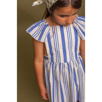 Birinit Deep Blue Stripe Dress