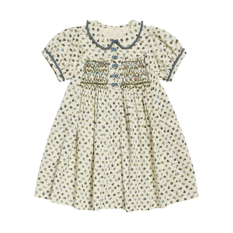 Little Cotton Clothes Daisy Floral Elizabeth Dress