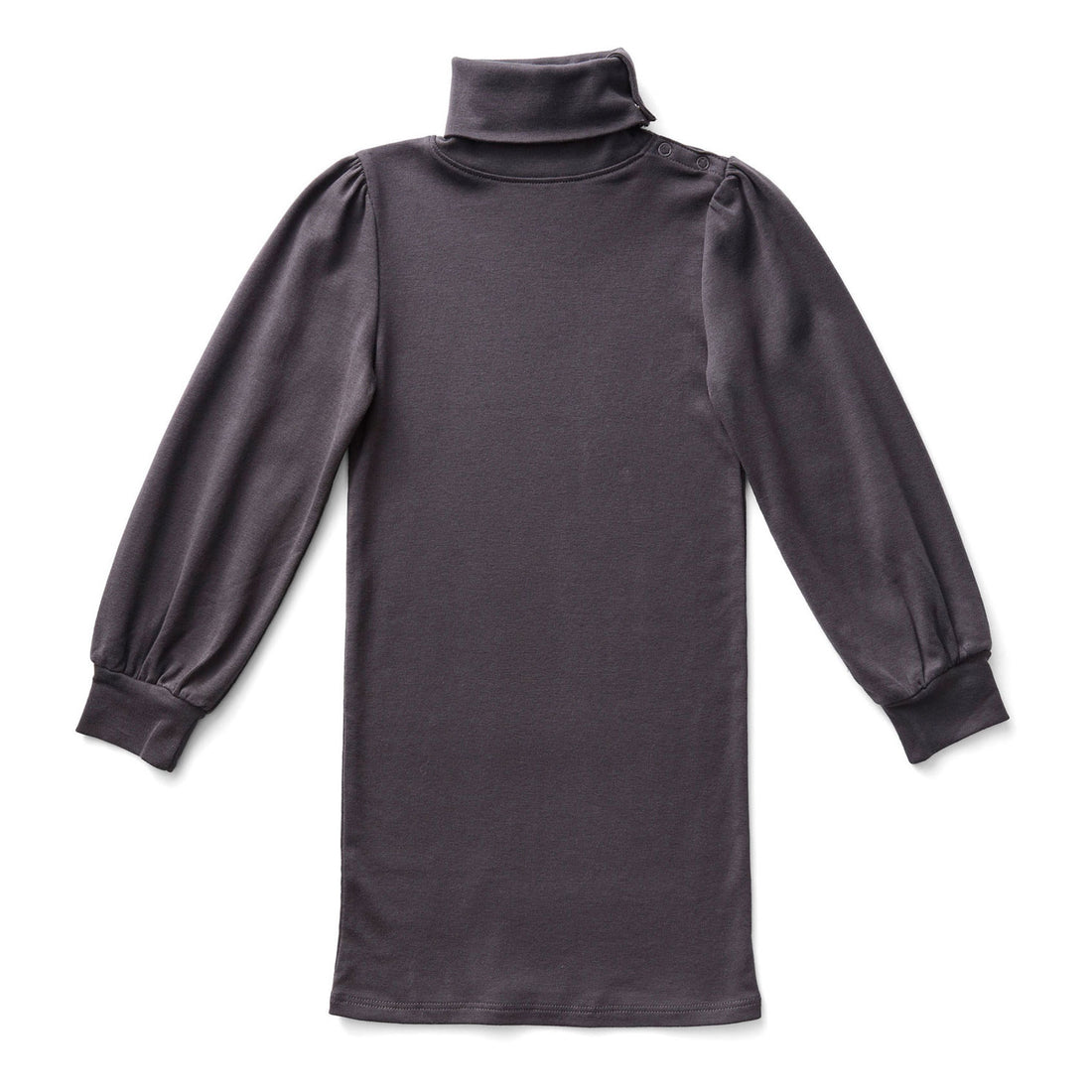SOOR PLOOM Dusk Pouf Turtleneck Dress