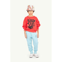 The Animals Observatory  Red Shark Sweatshirt
