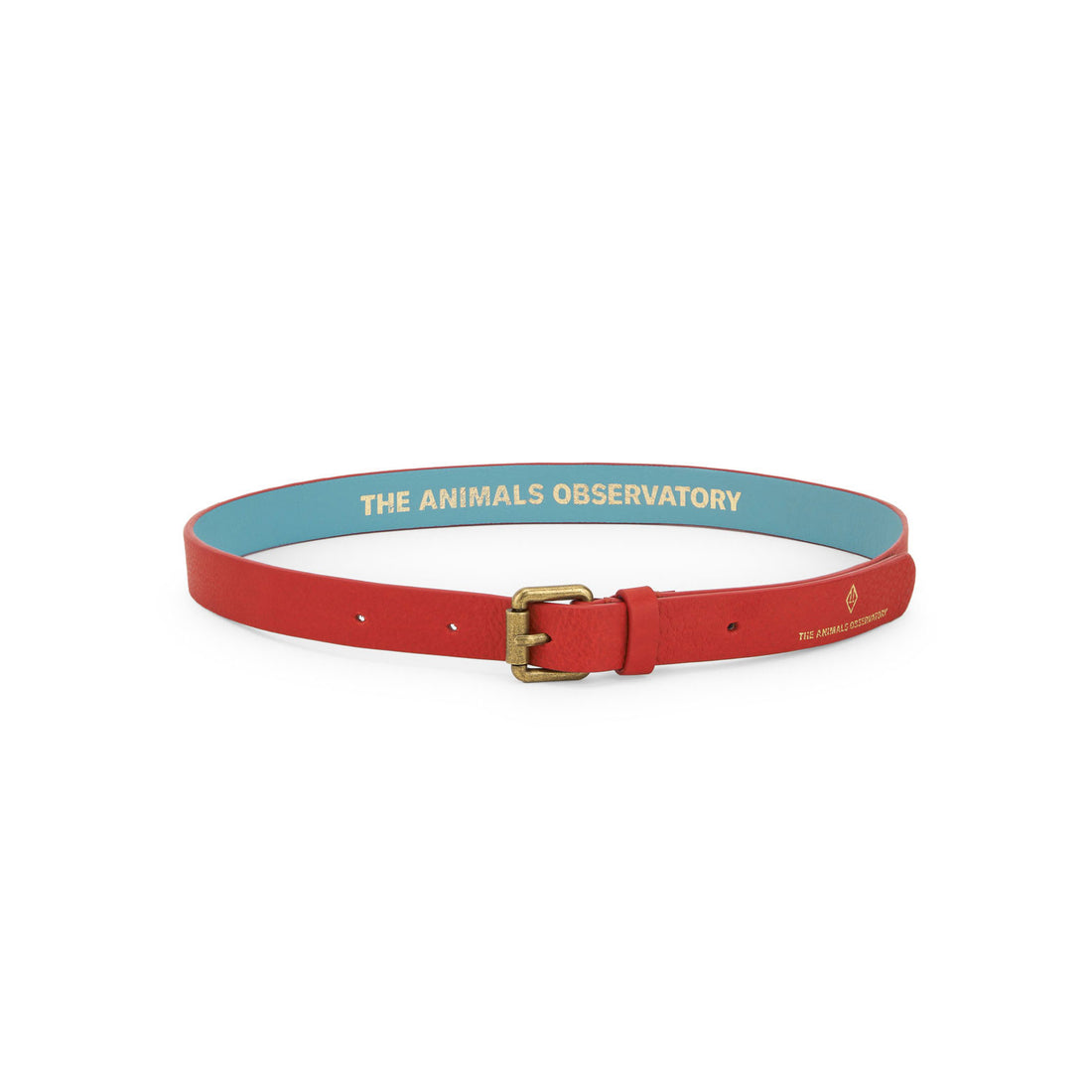 The Animals Observatory  Red Ibis Belt