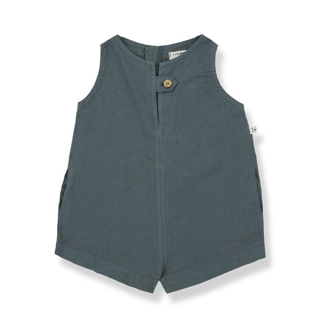 1+ in the Family  Petroleum Flora Romper