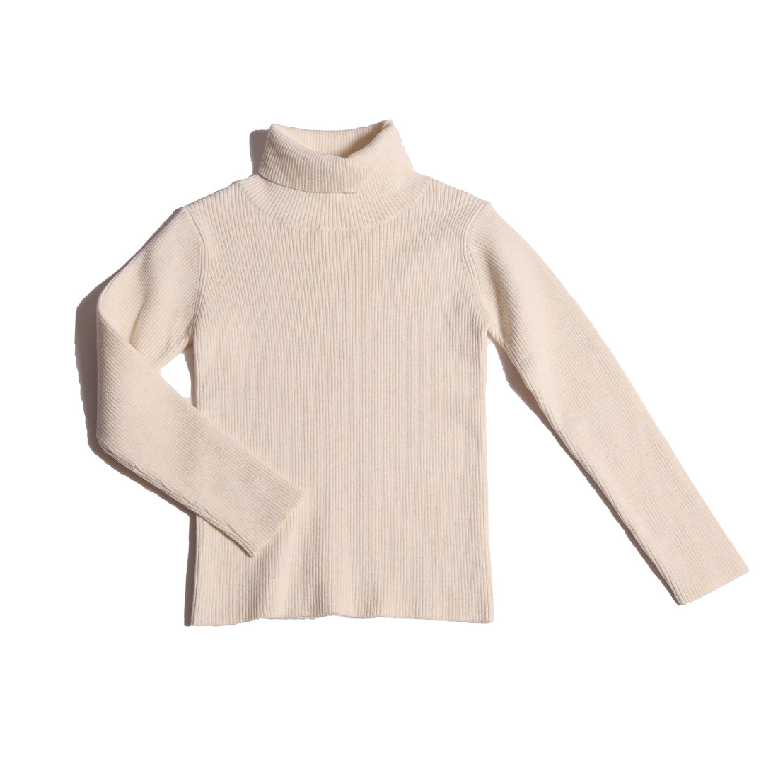 Tia Cibani Opal Slim Fit Ribbed Turtleneck