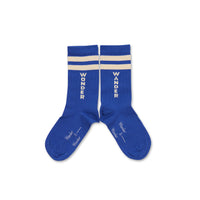 Wander and Wonder  Periwinkle Stripe Socks