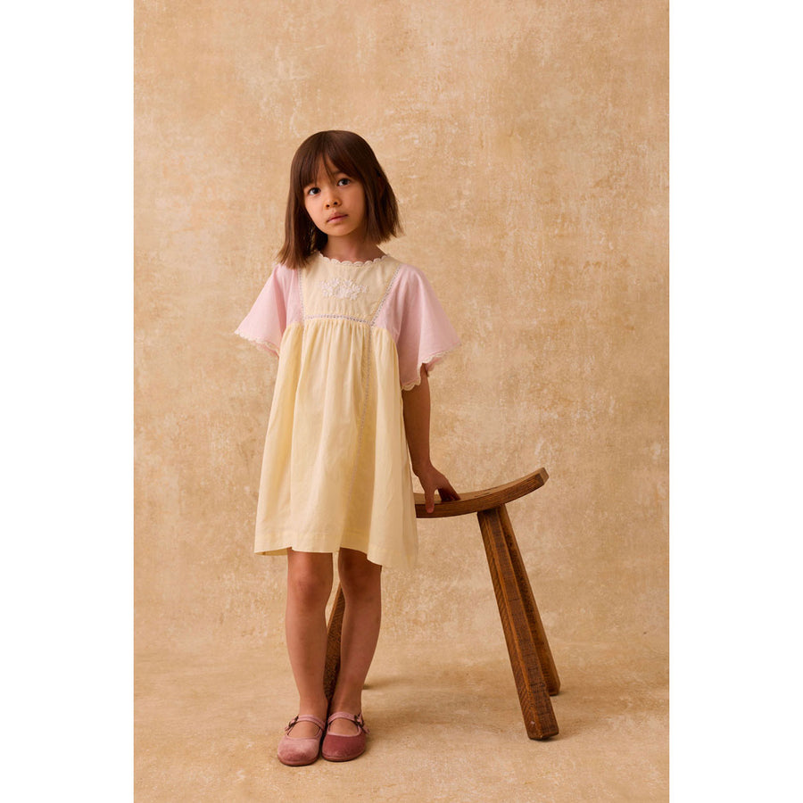 Louise Misha Pink Yellow Aurora Dress – Ladida