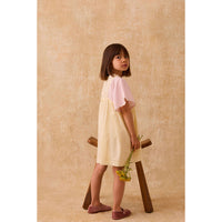 Louise Misha Pink  Yellow Aurora Dress