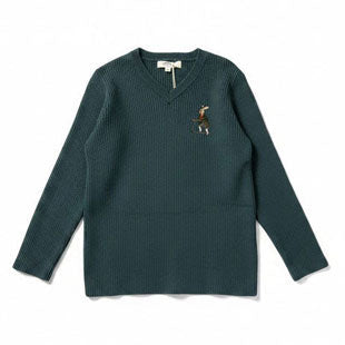 Arza Teal V Neeck Sweater