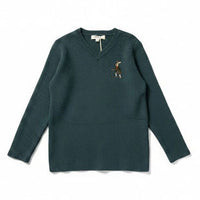 Arza Teal V Neeck Sweater