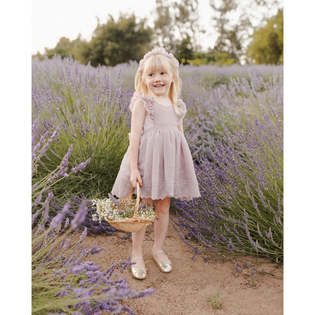 Noralee Lavender Provence Dress